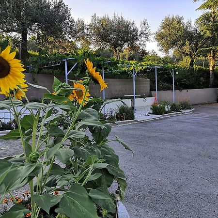 Rosemarin Apartman Koper városi község Kültér fotó