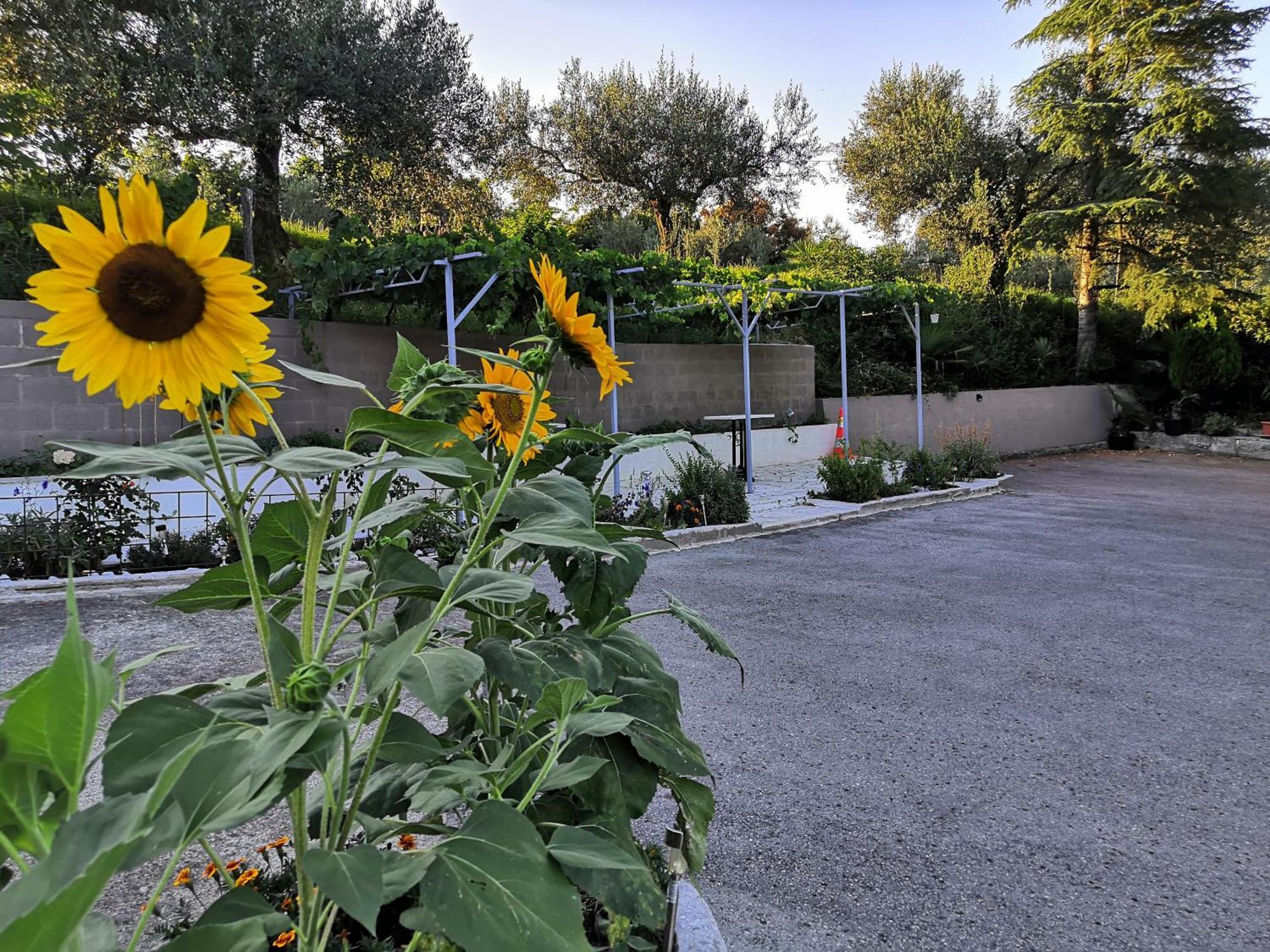 Rosemarin Apartman Koper városi község Kültér fotó